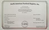 north american purebred registry